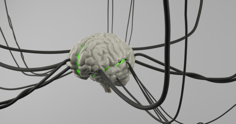 COLUNA-ensinosuperior-jul25-neurociencia-para-melhorar-aprendizagem-EDUCADOR21