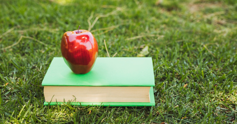 reciclus-capacita-professores-em-educacao-ambiental