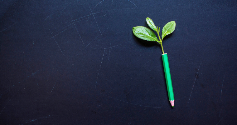 Foto: Yura Batiushyn / Unsplash