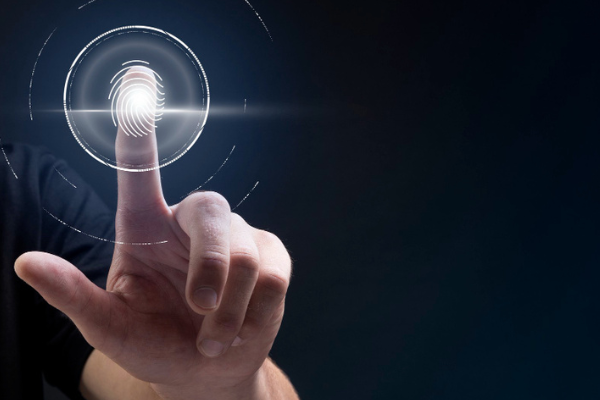 Foto: rawpixel.com / Freepik